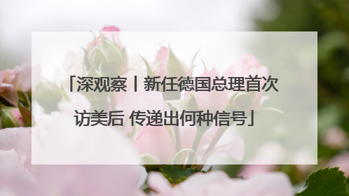 深观察丨新任德国总理首次访美后 传递出何种信号