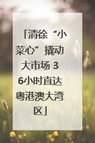 清徐“小菜心”撬动大市场 36小时直达粤港澳大湾区