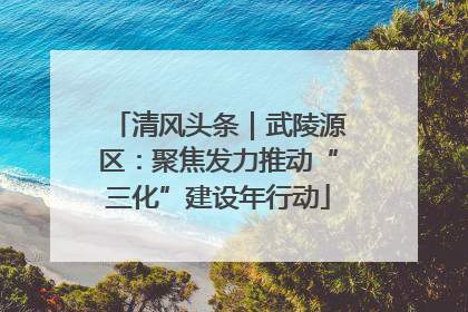 清风头条｜武陵源区：聚焦发力推动“三化”建设年行动