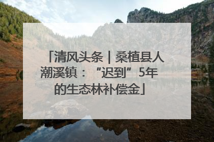 清风头条｜桑植县人潮溪镇：“迟到”5年的生态林补偿金