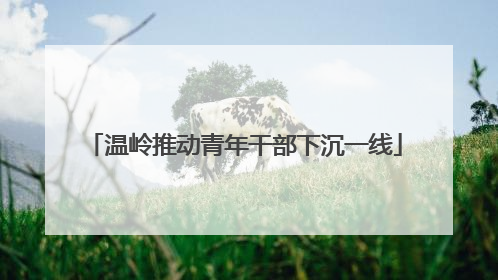 温岭推动青年干部下沉一线