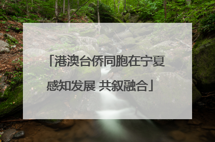 港澳台侨同胞在宁夏感知发展 共叙融合