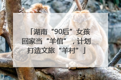 湖南“90后”女孩回家当“羊倌”，计划打造文旅“羊村”