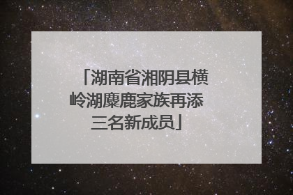 湖南省湘阴县横岭湖麋鹿家族再添三名新成员