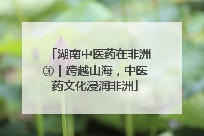 湖南中医药在非洲③｜跨越山海，中医药文化浸润非洲
