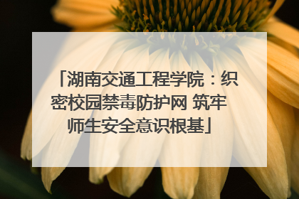 湖南交通工程学院：织密校园禁毒防护网 筑牢师生安全意识根基