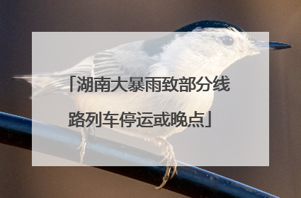 湖南大暴雨致部分线路列车停运或晚点
