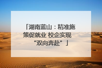 湖南蓝山：精准施策促就业 校企实现“双向奔赴”