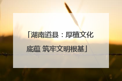湖南道县：厚植文化底蕴 筑牢文明根基