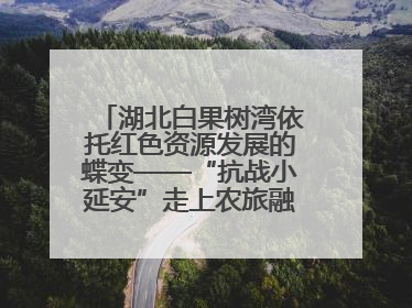 湖北白果树湾依托红色资源发展的蝶变——“抗战小延安”走上农旅融合振兴路