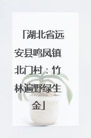 湖北省远安县鸣凤镇北门村：竹林遍野绿生金