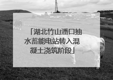 湖北竹山潘口抽水蓄能电站转入混凝土浇筑阶段