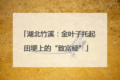 湖北竹溪：金叶子托起田埂上的“致富经”
