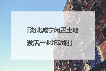 湖北咸宁闲置土地激活产业新动能