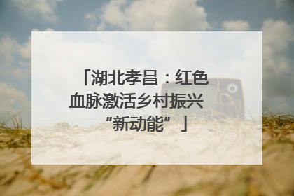 湖北孝昌：红色血脉激活乡村振兴“新动能”