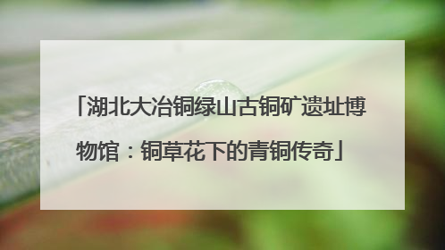 湖北大冶铜绿山古铜矿遗址博物馆：铜草花下的青铜传奇
