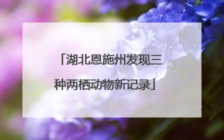 湖北恩施州发现三种两栖动物新记录