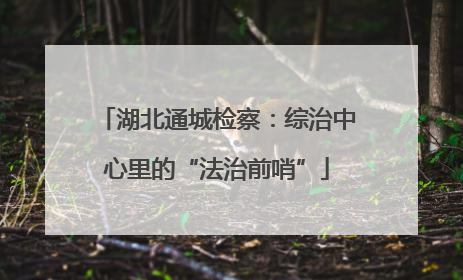 湖北通城检察：综治中心里的“法治前哨”