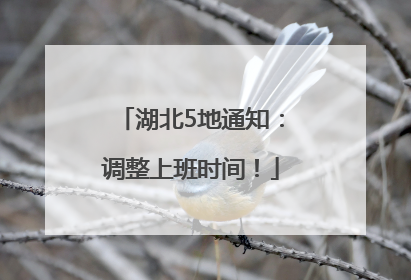 湖北5地通知：调整上班时间！