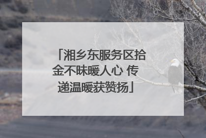 湘乡东服务区拾金不昧暖人心 传递温暖获赞扬