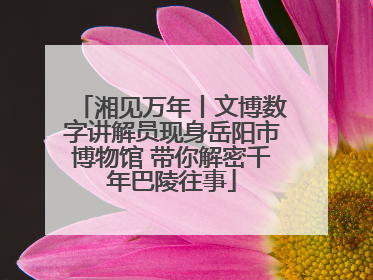 湘见万年丨文博数字讲解员现身岳阳市博物馆 带你解密千年巴陵往事