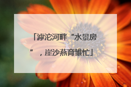 滹沱河畔“水景房”，崖沙燕育雏忙