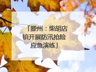 滕州：柴胡店镇开展防汛抢险应急演练