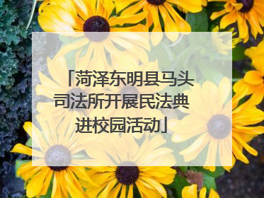 菏泽东明县马头司法所开展民法典进校园活动