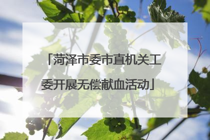 菏泽市委市直机关工委开展无偿献血活动