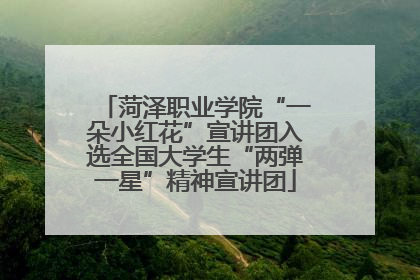 菏泽职业学院“一朵小红花”宣讲团入选全国大学生“两弹一星”精神宣讲团