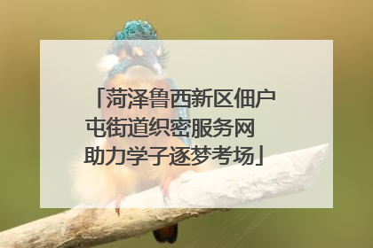 菏泽鲁西新区佃户屯街道织密服务网 助力学子逐梦考场