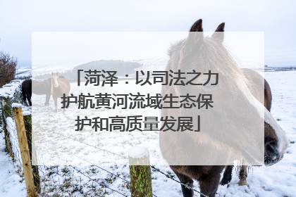 菏泽：以司法之力护航黄河流域生态保护和高质量发展