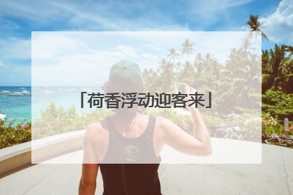 荷香浮动迎客来