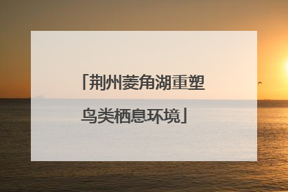 荆州菱角湖重塑鸟类栖息环境