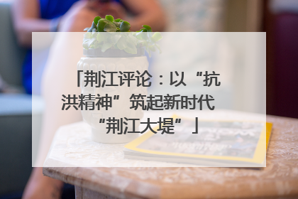 荆江评论：以“抗洪精神”筑起新时代“荆江大堤”