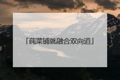 莼菜铺就融合双向道