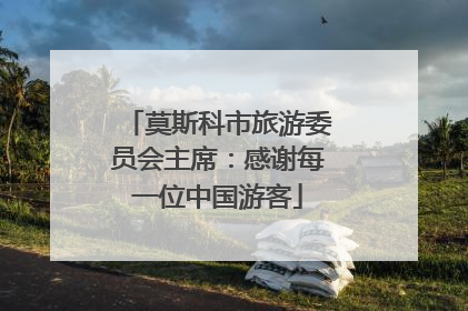 莫斯科市旅游委员会主席：感谢每一位中国游客