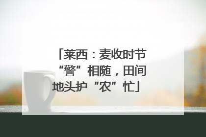 莱西：麦收时节“警”相随，田间地头护“农”忙