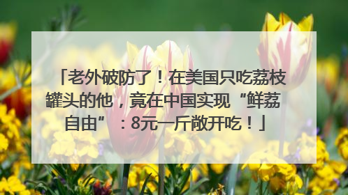 老外破防了！在美国只吃荔枝罐头的他，竟在中国实现“鲜荔自由”：8元一斤敞开吃！