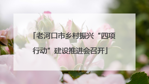 老河口市乡村振兴“四项行动”建设推进会召开