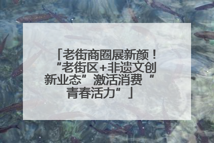 老街商圈展新颜！“老街区+非遗文创新业态”激活消费“青春活力”