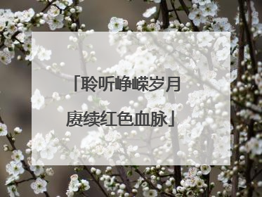 聆听峥嵘岁月 赓续红色血脉