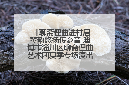 聊斋俚曲进村居 琴韵悠扬传乡音 淄博市淄川区聊斋俚曲艺术团夏季专场演出在杏园子村举行