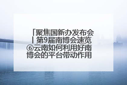 聚焦国新办发布会丨第9届南博会速览⑥云南如何利用好南博会的平台带动作用，深化与南亚国家的交流与合作？