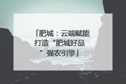 肥城：云端赋能 打造“肥城好品”强农引擎