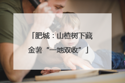 肥城：山楂树下藏金薯“一地双收”