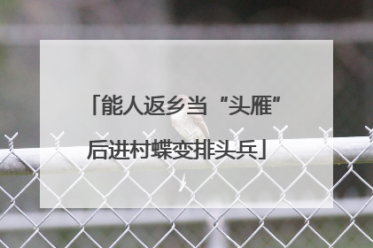 能人返乡当“头雁” 后进村蝶变排头兵
