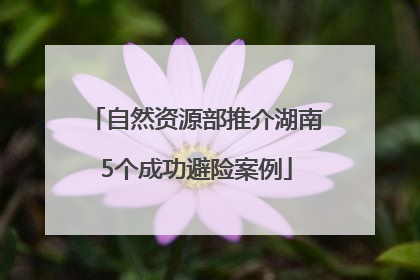 自然资源部推介湖南5个成功避险案例