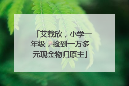 艾载欣，小学一年级，捡到一万多元现金物归原主