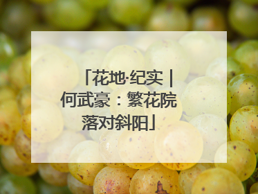花地·纪实｜何武豪：繁花院落对斜阳